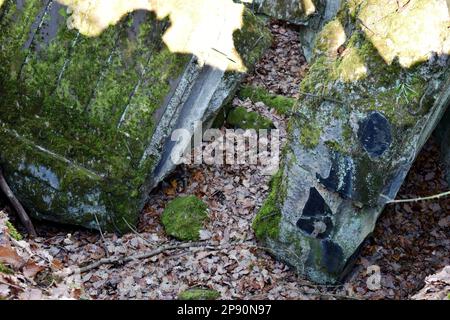 Des témoins oculaires ont détruit le bunker Wehrmacht ruines d'une ancienne position dans la forêt Banque D'Images