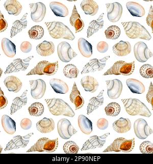 Motif aquarelle sans couture avec différentes coquillages et perles sur fond blanc en bleu, orange, beige. Papier d'emballage nautique, textiles pour enfants Banque D'Images