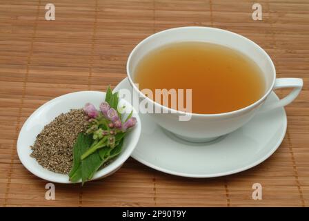 Beinwell, Beinwellkraut, Aufguß, Heilpflanze, medizinische Verwendung, Beinwelltee, Teetasse, Common Comfrey, Symphytum officinale Banque D'Images