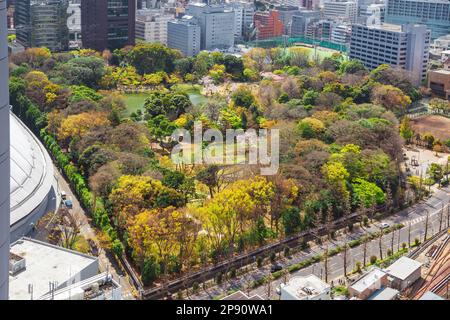 Vue aérienne de Koishikawa Korakuen rempli de cerisiers en fleurs, un magnifique parc urbain avec un vieux jardin japonais de style Edo dans le centre-ville de Tokyo Banque D'Images