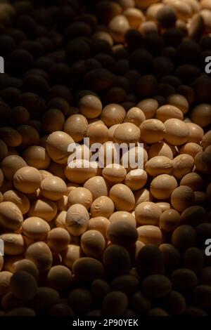 Gros plan de grains de graines de soja dans un sac à la lumière du soleil. Soja. Soja. Des produits sains. Végétalien. Banque D'Images