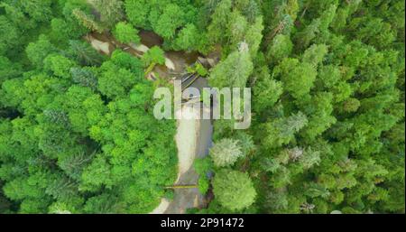 Prise de vue aérienne de la forêt verte et du ruisseau. Arrière-plan flou flou flou flou flou flou flou flou et flou flou. Migration du saumon en Alaska, États-Unis, 2017 Banque D'Images