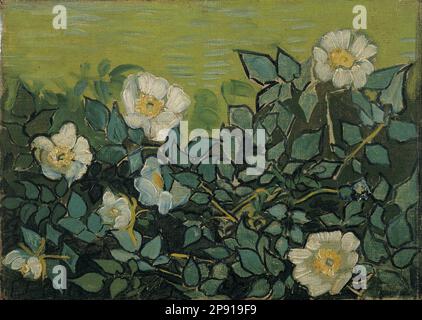 Roses sauvages (1890 avril - 1890 mai) par Vincent van Gogh Banque D'Images