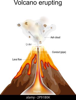 éruption volcanique. Coupe transversale du volcan avec cratère, nuage de cendres, flux de lave, Magma, conduit ou tuyau. Poster vectoriel Illustration de Vecteur