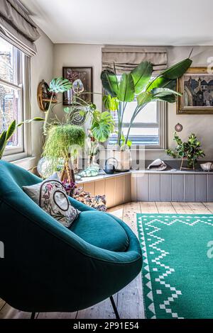 Collection d'objets et de plantes dans une nouvelle maison côtière datant du 19th siècle, Herne Bay, Kent, Royaume-Uni Banque D'Images