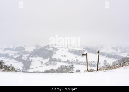 Un paysage enneigé à Powys, au pays de Galles avec 2 panneaux de sentier public wonky Banque D'Images