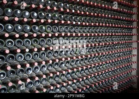 Magasin de vins à la bodegas rubicon dans la région viticole de la geria Lanzarote, îles Canaries, Espagne Banque D'Images