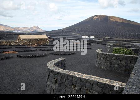 Vignoble de rubicon de bodegas dans la région viticole de la geria Lanzarote, îles Canaries, Espagne Banque D'Images