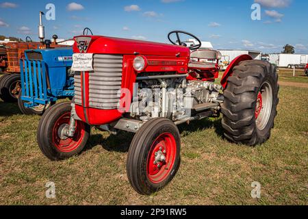 Fort Meade, FL - 26 février 2022 : vue panoramique d'un tracteur diesel MF50 Massey Ferguson 1964 lors d'un salon de tracteurs local. Banque D'Images