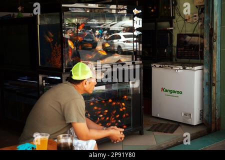 Nha Trang, Vietnam - 31 mars 2018 : vendeur de poissons rouges en attente de clients et de boire une bière. Vietnamese pet shop vendeur. De nombreux poissons rouges dans l'aquarium Banque D'Images