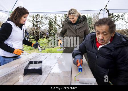 ZOETERMEER - le roi Willem-Alexander et la reine Maxima en action pendant NLdoet, la plus grande campagne de bénévolat des pays-Bas. Le couple royal et les bénévoles se sont mis à préparer un jardin adjacent dans un centre communautaire pour une nouvelle saison de plantation. ANP RAMON VAN FLYMEN pays-bas sortie - belgique sortie Banque D'Images