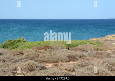 Merveilleuse Sicile avec les senteurs de la Méditerranée gommage avec des buissons et des conifères à feuilles persistantes et le bleu turquoise de ses eaux cristallines. Banque D'Images