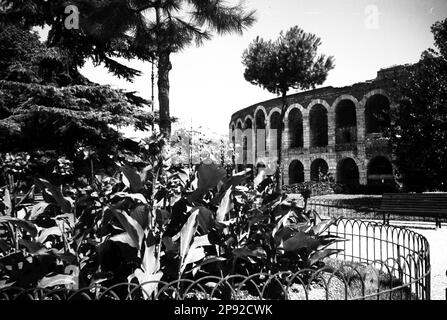 Vérone - Arena di Verona (anni 30) Banque D'Images