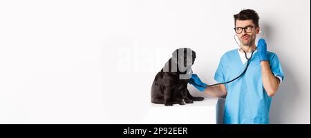 Confus médecin vétérinaire de contrôle chien avec stéthoscope, semble perplexe, debout sur fond blanc Banque D'Images