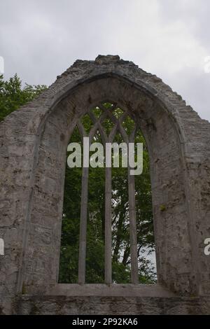 Fenêtre de friary dans les ruines de l'abbaye de Muckross, parc national de Killarney co Kerry EIRE Banque D'Images