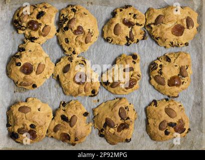 De nettes rangées de scones maison graisseuses rôcines refroidissant sur papier parchemin Banque D'Images