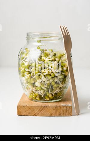 Pousses de haricots de mung frais dans un pot. Banque D'Images