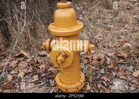 Une borne d'incendie de couleur orange assise parmi les feuilles brunes tombées un jour d'hiver. Banque D'Images