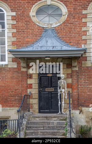 Squelette humain pleine grandeur debout à l'extérieur de Sarum Studio Cathedral Fermer Salisbury Wiltshire Angleterre Banque D'Images
