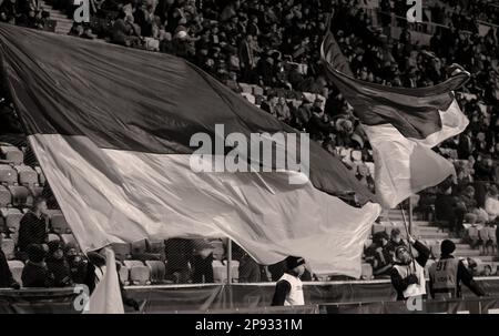 Odessa, Ukraine - novembre 2021 : les fans de football ukrainien dans des stands de stade avec des drapeaux ukrainiens et des attributs nationaux soutiennent avec enthousiasme leur Banque D'Images