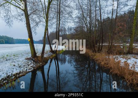 Petite rivière étroite en hiver, reflets d'eau Banque D'Images