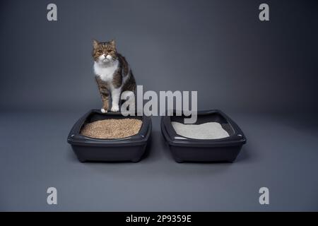 deux bacs à litière pour chats remplis d'argile et de litière pour chats bio. image conceptuelle pour la comparaison côte à côte des déchets dégradables et non dégradables. Banque D'Images