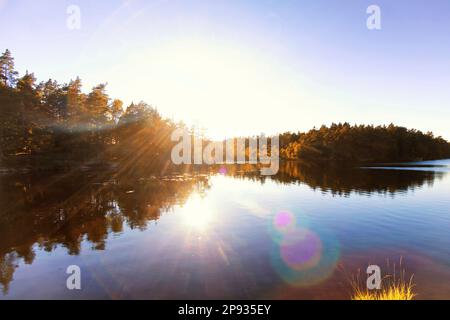 Paysage de l'archipel suédois avec forêt inondée de soleil se reflète dans un lac Banque D'Images