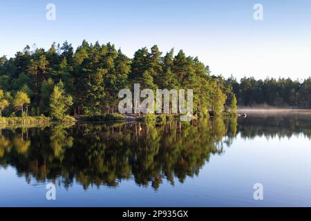 Paysage de l'archipel suédois avec forêt inondée de soleil se reflète dans un lac Banque D'Images