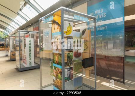 Angleterre, West Sussex, Wakehurst, Millennium Seed Bank, Atrium Exhibition Space Banque D'Images