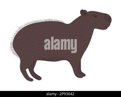 Joli capybara, illustration de couleur marron Illustration de Vecteur