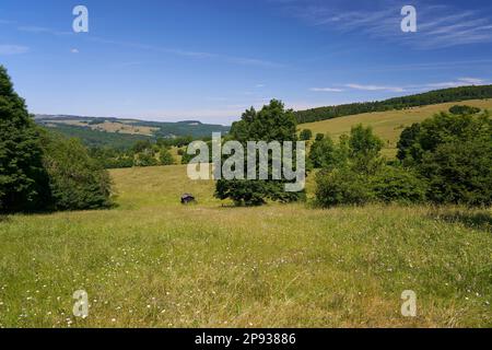 Paysage dans la haute vallée de l'Ulster de la haute Rhön, réserve de biosphère de Rhön, entre Hessian Rhön et Bavarian Rhön, Allemagne Banque D'Images