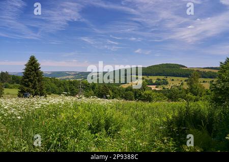 Paysage dans la haute vallée de l'Ulster de la haute Rhön, réserve de biosphère de Rhön, entre Hessian Rhön et Bavarian Rhön, Allemagne Banque D'Images