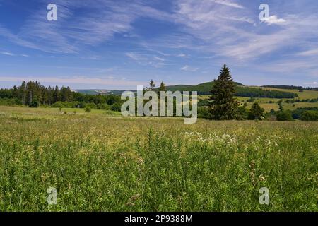 Paysage dans la haute vallée de l'Ulster de la haute Rhön, réserve de biosphère de Rhön, entre Hessian Rhön et Bavarian Rhön, Allemagne Banque D'Images