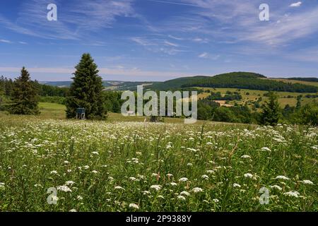 Paysage dans la haute vallée de l'Ulster de la haute Rhön, réserve de biosphère de Rhön, entre Hessian Rhön et Bavarian Rhön, Allemagne Banque D'Images