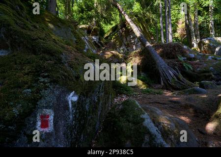 Le groupe de roches de grès de Rhät Diebskeller près d'Altenstein, parc naturel de Hassberge, Basse-Franconie, Bavière, Allemagne Banque D'Images