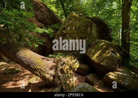 Le groupe de roches de grès de Rhät Diebskeller près d'Altenstein, parc naturel de Hassberge, Basse-Franconie, Bavière, Allemagne Banque D'Images