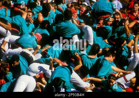 Castellers de Vilafranca après la chute de la tour humaine. «Castellers» est une tradition catalane.Concours semestriel. bullring.Tarragone, Catalogne, Espagne Banque D'Images