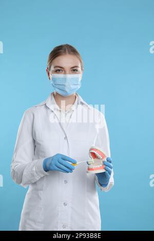 Assistant dentaire avec modèle de mâchoires et brosse à dents sur fond bleu clair. Démonstration de soins buccaux Banque D'Images