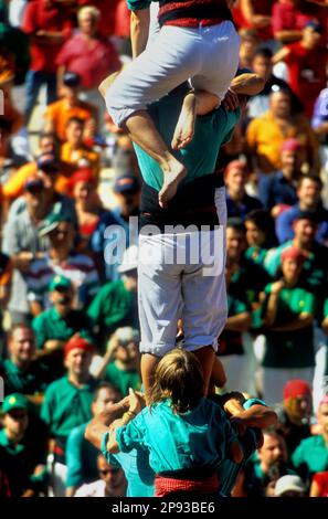 Castellers de Vilafranca.'Castellerss' Building Human Tower, un concours de tradition catalane.Biannual. bullring.Tarragone, Catalogne, Espagne Banque D'Images