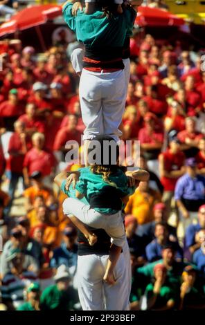 Castellers de Vilafranca.'Castellerss' Building Human Tower, un concours de tradition catalane.Biannual. bullring.Tarragone,Catalogne, Espagne Banque D'Images