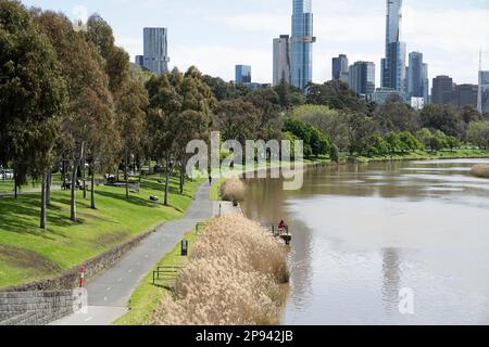 Yarra River au jardin botanique avec Skyline, Melbourne, Victoria, Australie Banque D'Images