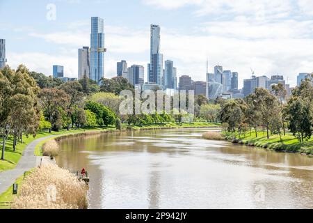 Yarra River au jardin botanique avec Skyline, Melbourne, Victoria, Australie Banque D'Images