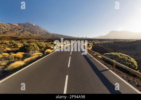 TF-21 direction volcan Teide, Tenerife, Iles Canaries, Espagne Banque D'Images