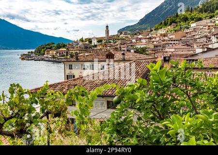 Limone sul Garda, Lac de Garde, province de Brescia, Lombardie, Italie, Europe Banque D'Images