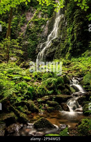 Cascade dans une nature intacte, un vieux chemin avec des marches en pierre mène à une cascade magique dans une vallée couverte de verdure. Allemagne, Forêt-Noire, Banque D'Images