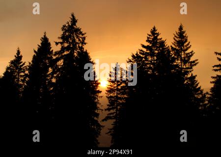 Coucher de soleil sur le Rehbergalm dans le Karwendel, le soleil se couche d'un romantisme fou après un orage réussi, Allemagne, Bavière, haute-Bavière, Werdenfelser Land, Mittenwald Banque D'Images