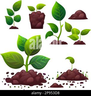 définir l'illustration vectorielle de la croissance de la plante sur le sol dans les mains isoler Illustration de Vecteur