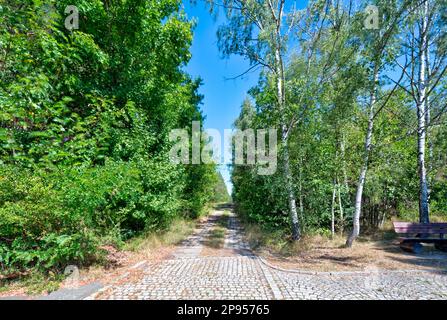 Barrière frontalière, ancienne, mémorial, ancienne frontière, ceinture verte, Zimmerau, Sulzdorf an der Lederhecke, Allemagne, Europe, Banque D'Images