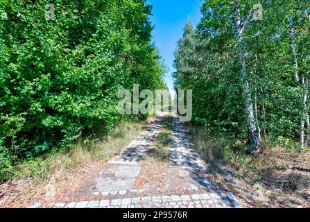 Barrière frontalière, ancienne, mémorial, ancienne frontière, ceinture verte, Zimmerau, Sulzdorf an der Lederhecke, Allemagne, Europe, Banque D'Images