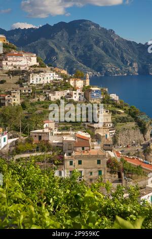 D'Agerola à Amalfi est un chemin escarpé avec des milliers de marches qui serpente les collines côtières vers Amalfi. Vue sur la mer et la côte de Largo S. Michele, côte amalfitaine, Italie Mer Tyrrhénienne, Méditerranée. Vignobles en premier plan Banque D'Images